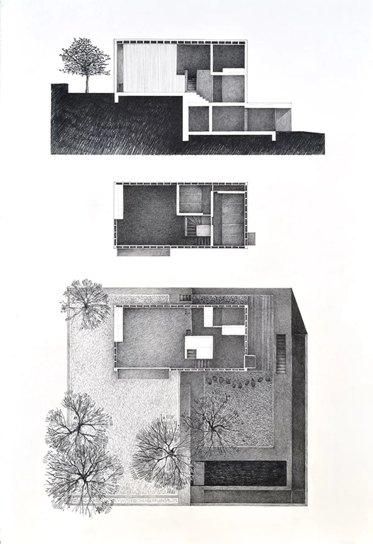 Igelitový dům, Oleško