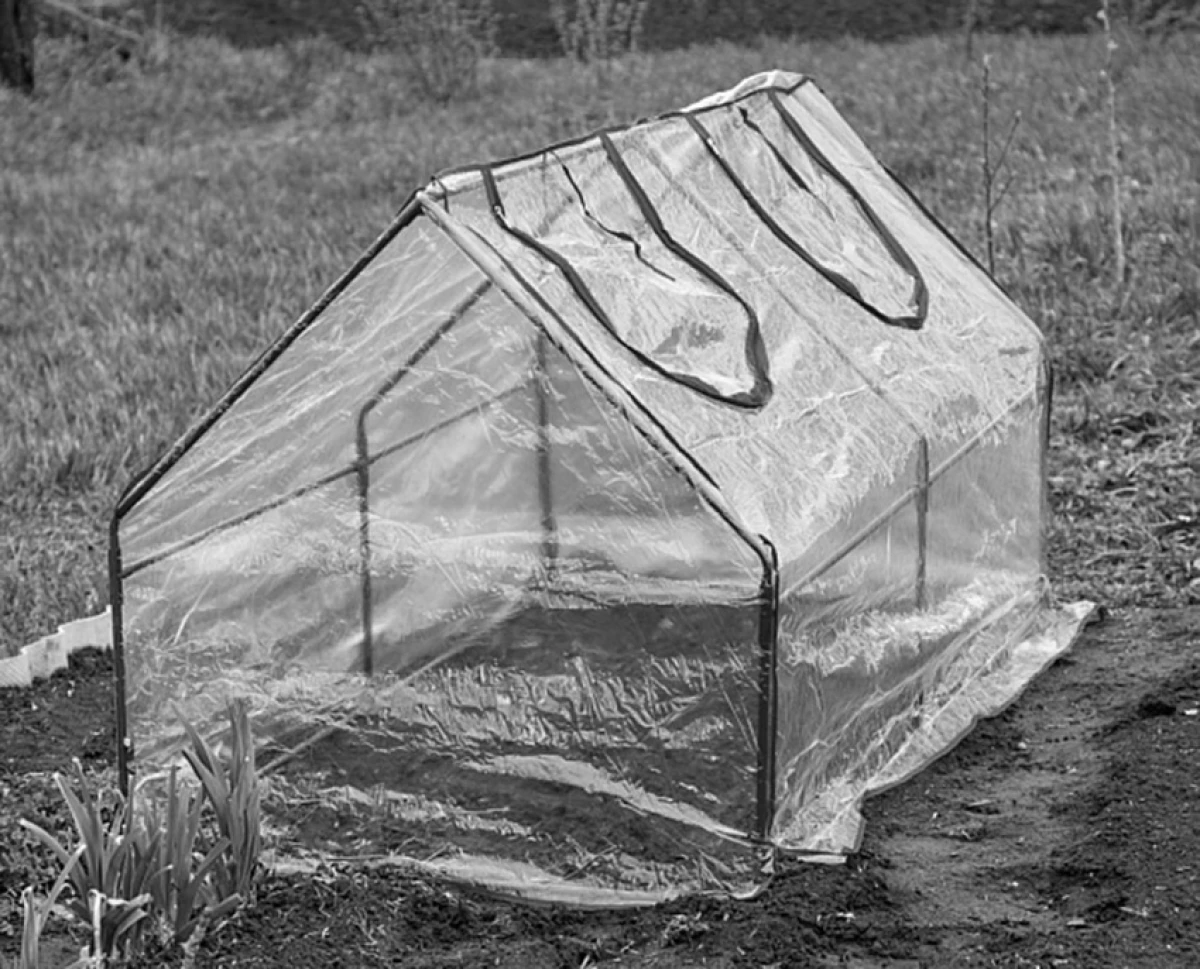 Igelitový dům, Oleško